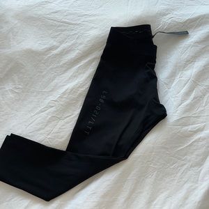 License to Train Tight 21"